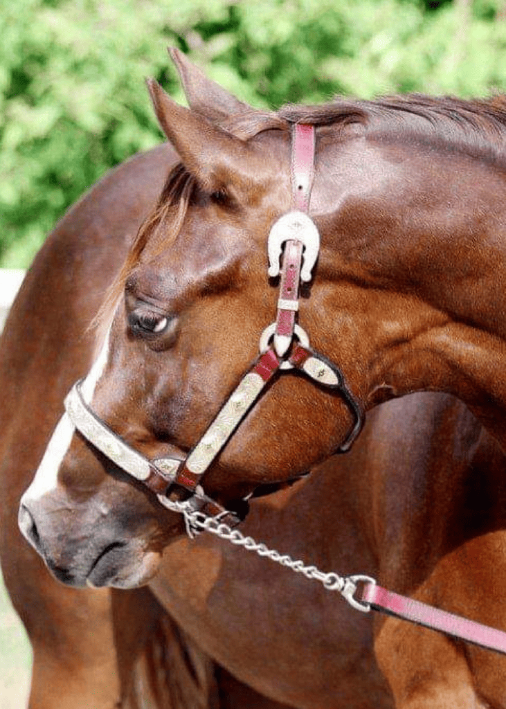 triple r ranch– 11