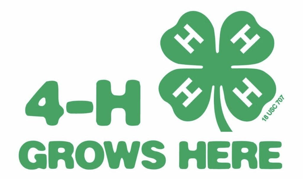 4h1