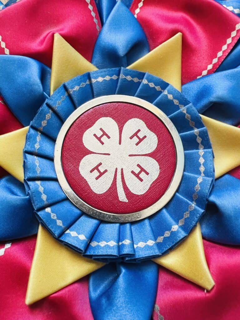 4hribbon1